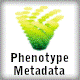 Medaka Mutants Phenotype Metadata