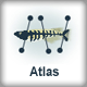 Medaka Atlas
