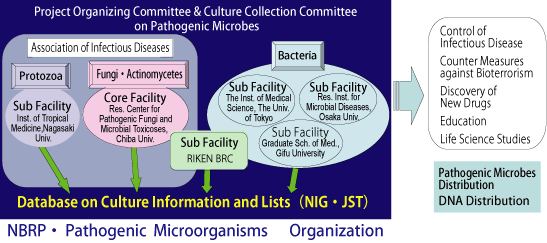 Pathogenic Microorganisms Organization